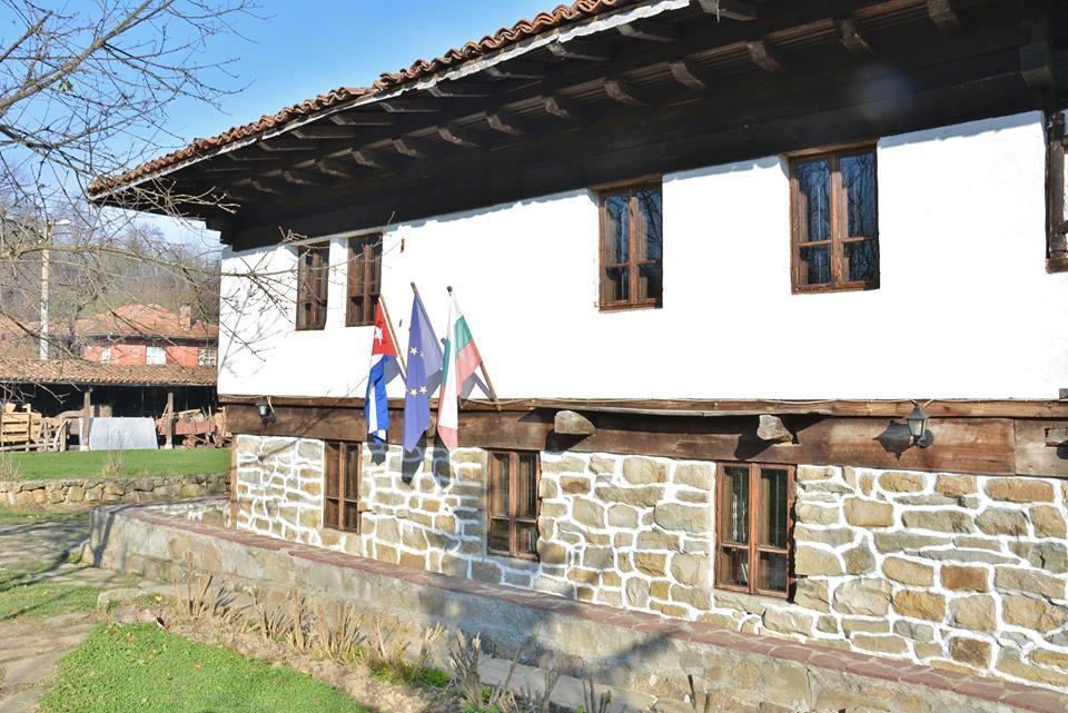 Ecopark Elena Hotel Exterior photo